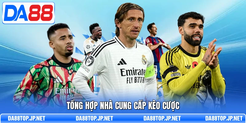 Tổng hợp nhà cung cấp kèo cược